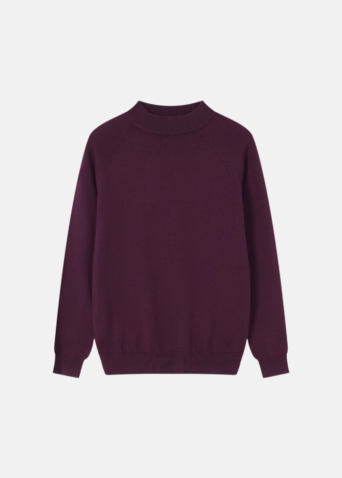Women Plain Knitted Blouse - Image 1