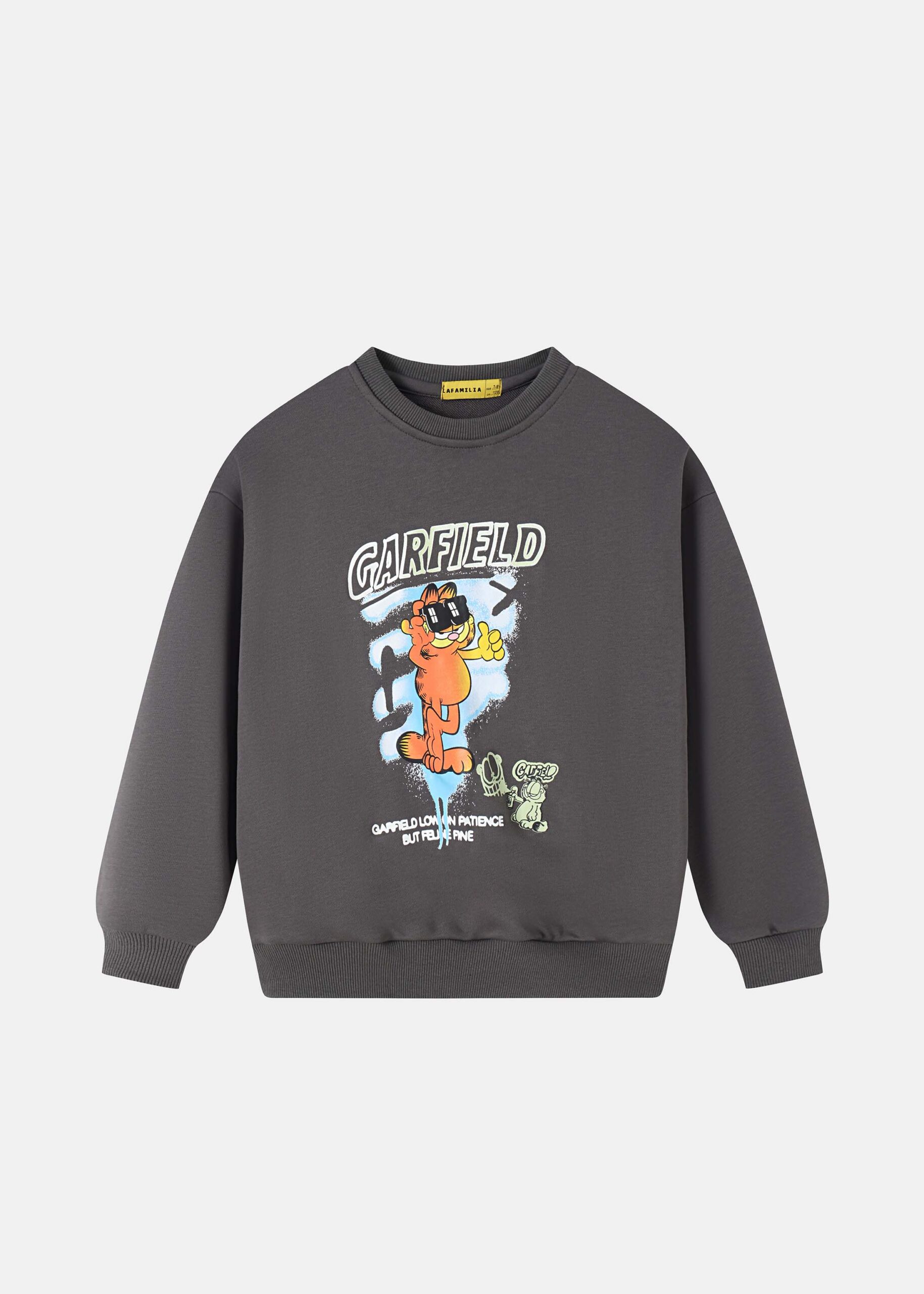 6225316015419-a Kids Boy "Garfield" Blouse - Image 1