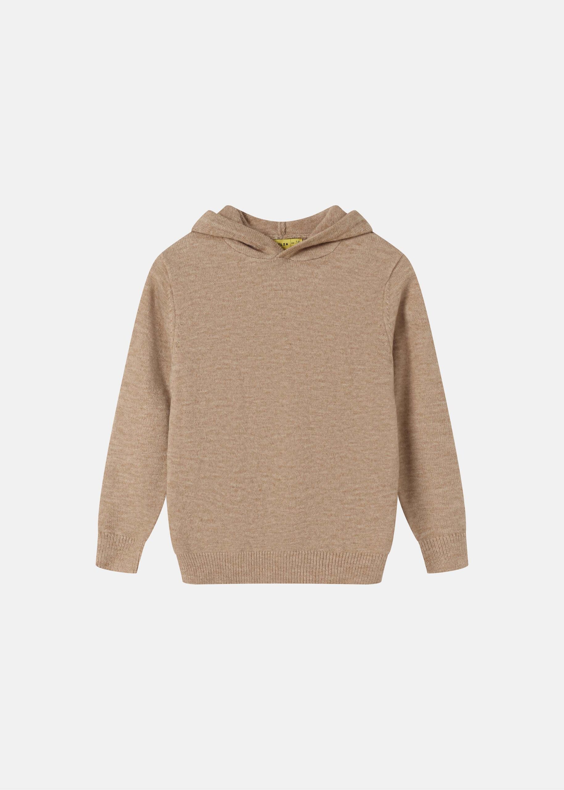 6225316022244-a Kids Boy Knitted Plain Hoodie - Image 1