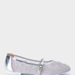Women Embroidered Mesh Ballerina