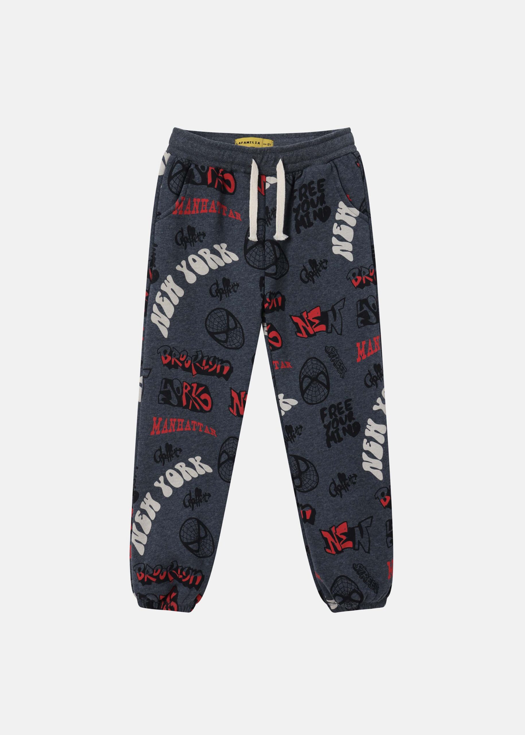 6226308013919-a Kids Boy Printed Sport Trouser - Image 1