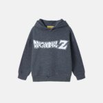 Kids Boy "Dragon Ball" Hoodie