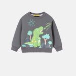 Kids Boy "Dinosaur" Sweatshirt
